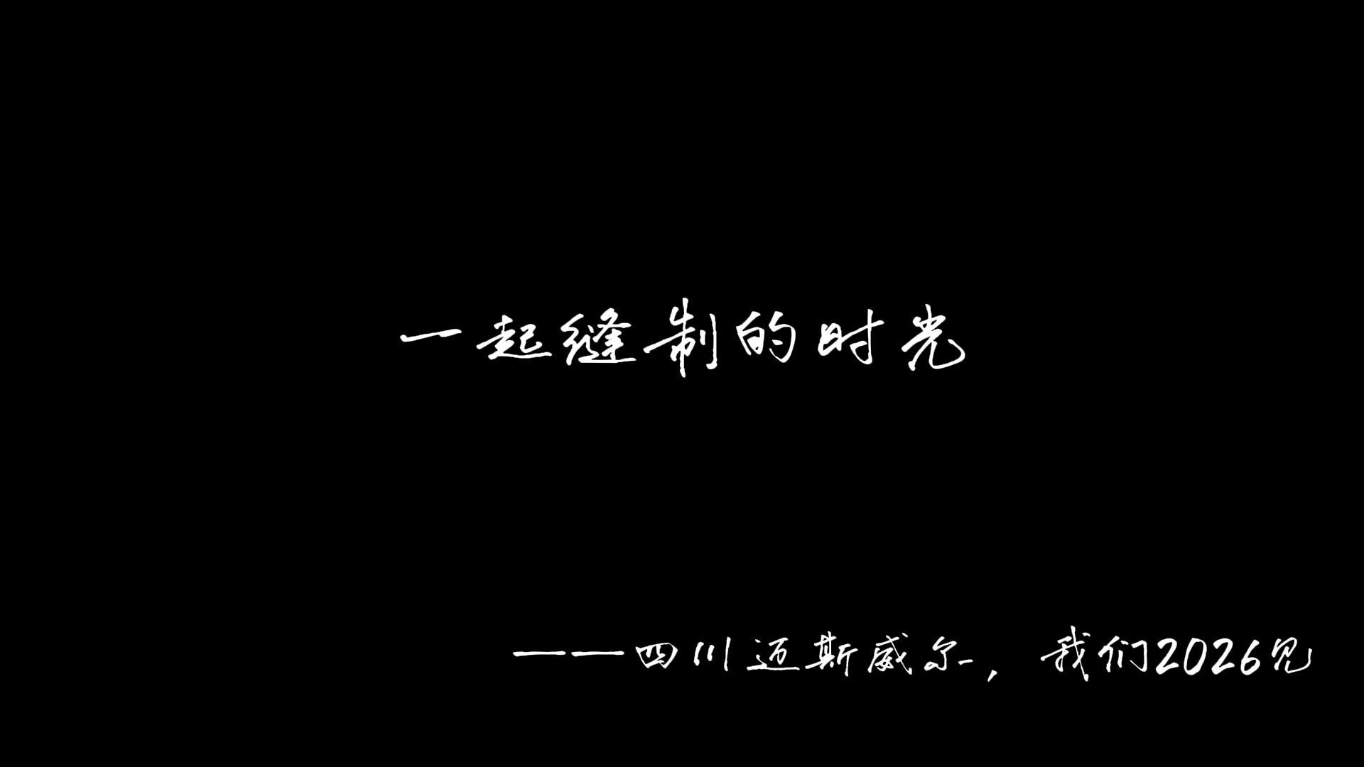 一起缝制的2025&mdash;四川迈斯威尔，我们2026见