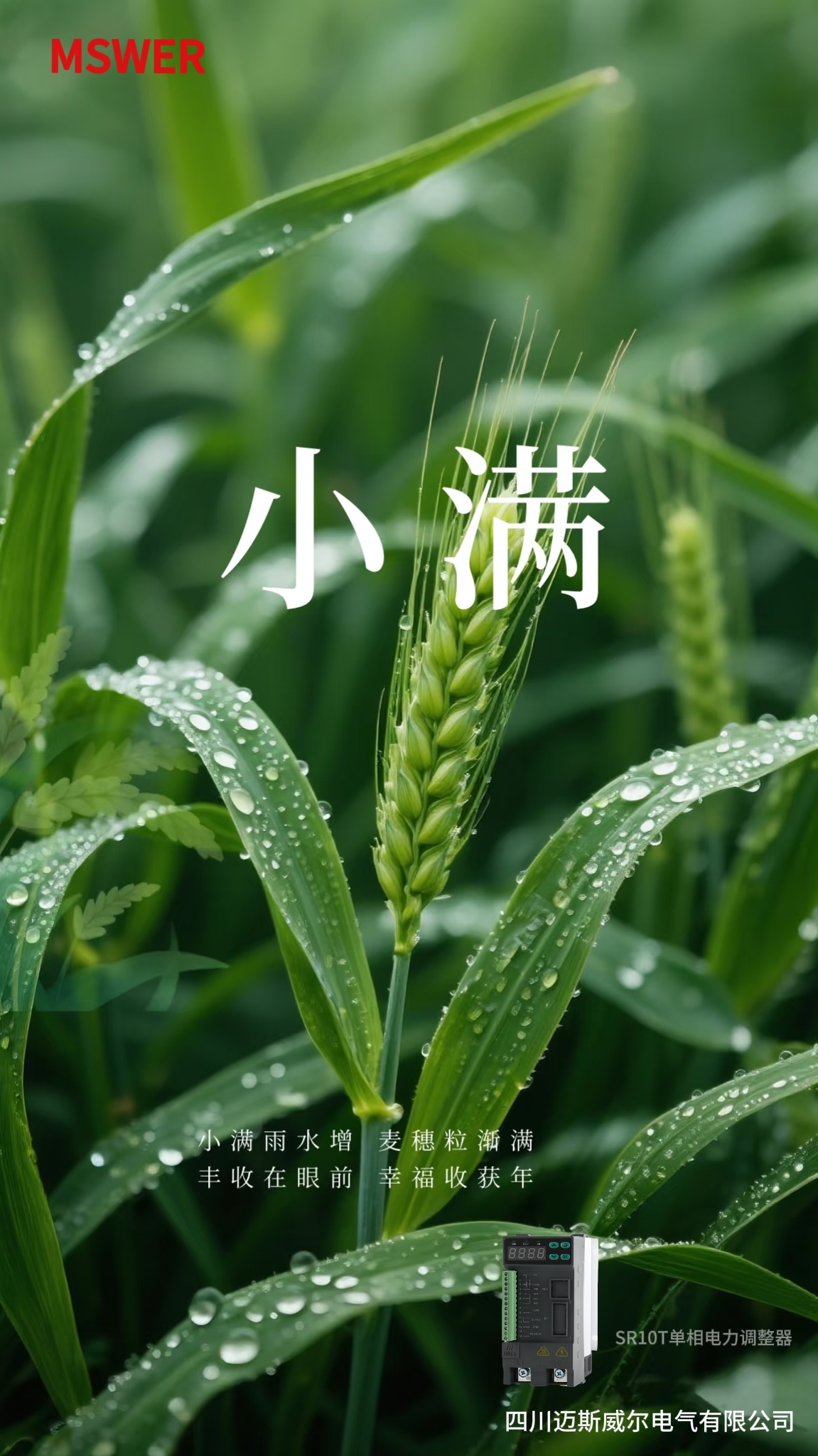 小满